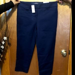 LOFT The Rivera Pant